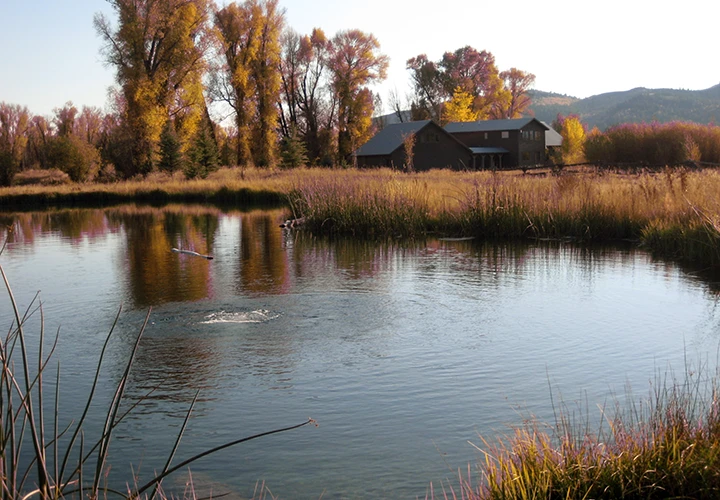 Liquid Containment, Ponds, Canals and Stormwaters