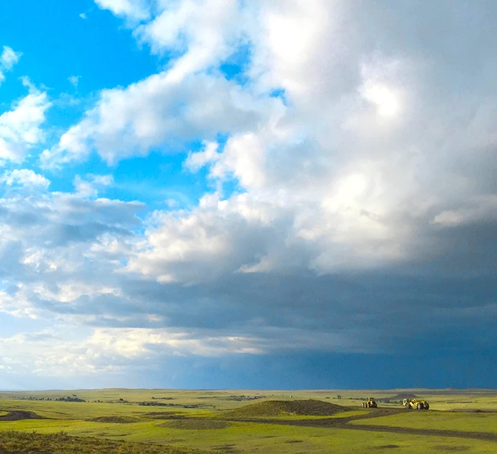 Field on a beautiful day