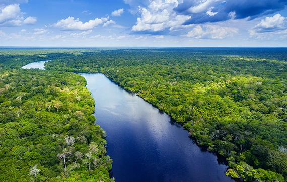 River in the forrest